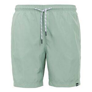 Regatta Mens Mackleyna Swim Shorts / Glacier